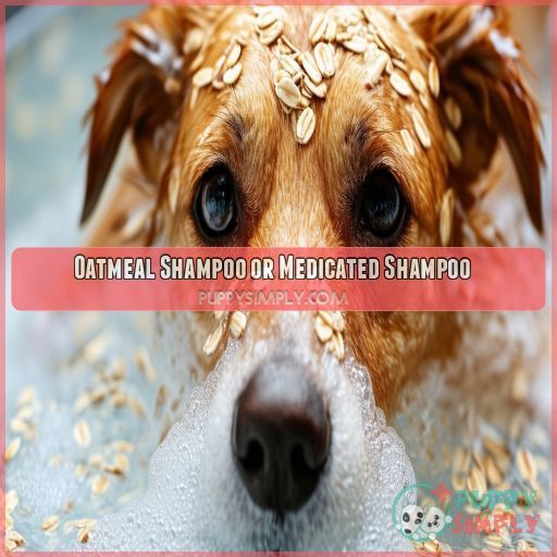 Oatmeal Shampoo or Medicated Shampoo