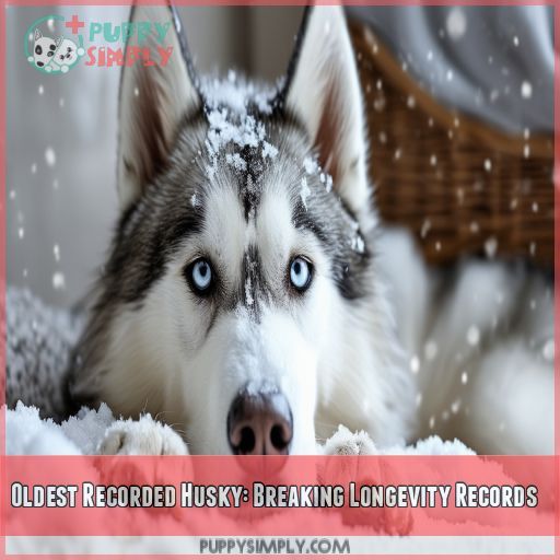 Oldest Recorded Husky: Breaking Longevity Records