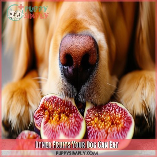 Other Fruits Your Dog Can Eat