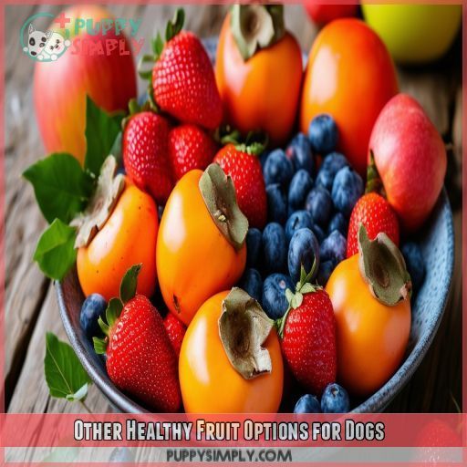 Other Healthy Fruit Options for Dogs
