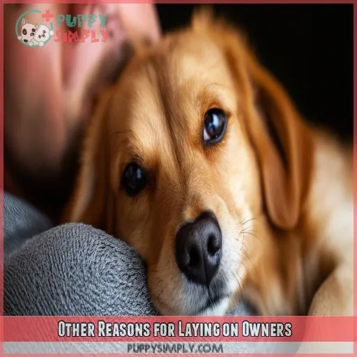Other Reasons for Laying on Owners