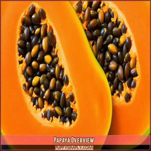 Papaya Overview