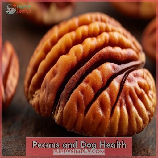 Pecans and Dog Health
