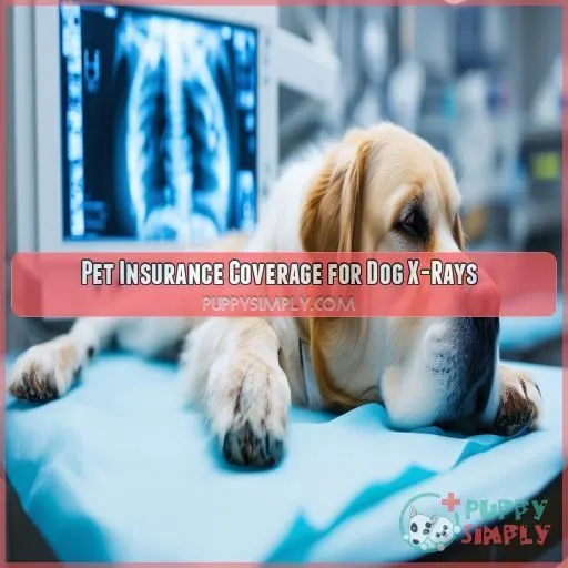 Pet Insurance Coverage for Dog X-Rays