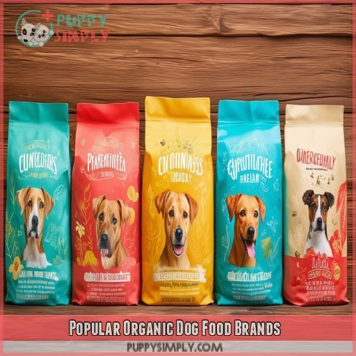 Popular Organic Dog Food Brands