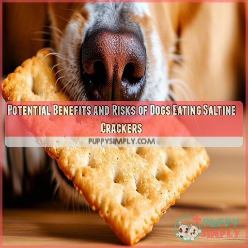 Potential Benefits and Risks of Dogs Eating Saltine Crackers