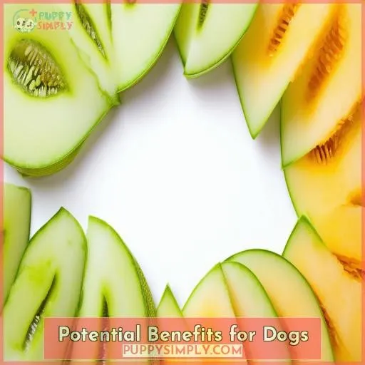 Potential Benefits for Dogs
