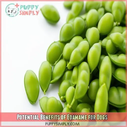 Potential Benefits of Edamame for Dogs
