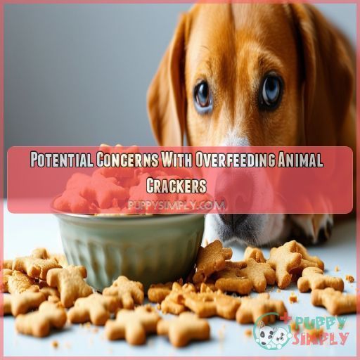 Potential Concerns With Overfeeding Animal Crackers