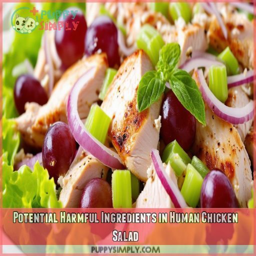 Potential Harmful Ingredients in Human Chicken Salad