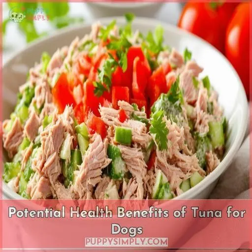Potential Health Benefits of Tuna for Dogs