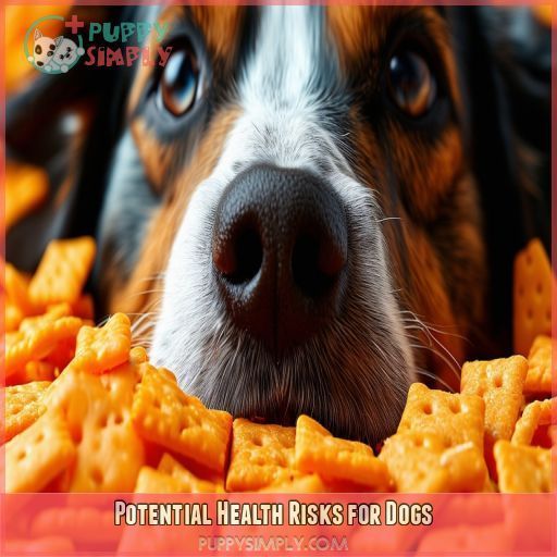 Potential Health Risks for Dogs