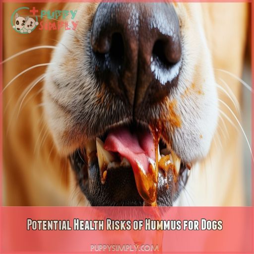 Potential Health Risks of Hummus for Dogs