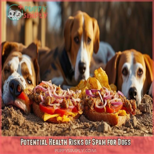 Potential Health Risks of Spam for Dogs