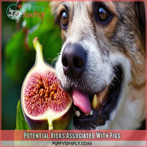 Potential Risks Associated With Figs