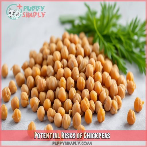Potential Risks of Chickpeas