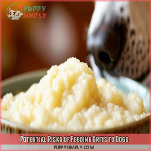 Potential Risks of Feeding Grits to Dogs