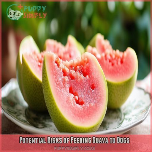 Potential Risks of Feeding Guava to Dogs