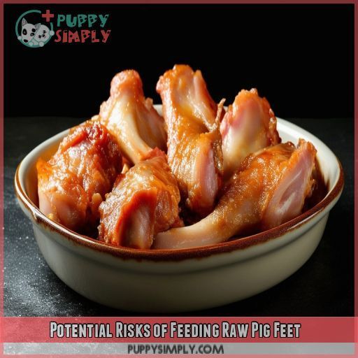 Potential Risks of Feeding Raw Pig Feet