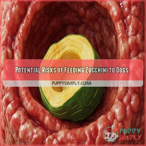 Potential Risks of Feeding Zucchini to Dogs