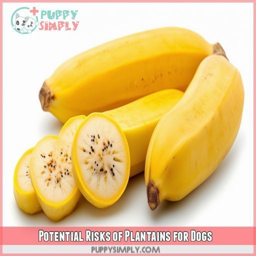 Potential Risks of Plantains for Dogs