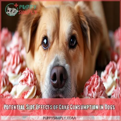 Potential Side Effects of Cake Consumption in Dogs