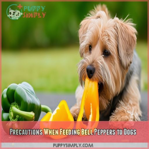 Precautions When Feeding Bell Peppers to Dogs