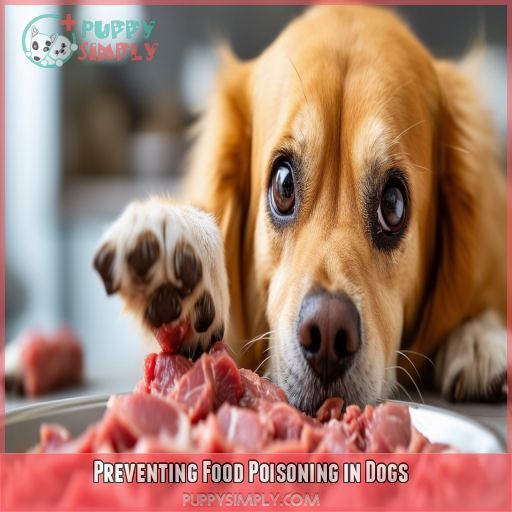 Preventing Food Poisoning in Dogs