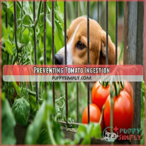 Preventing Tomato Ingestion