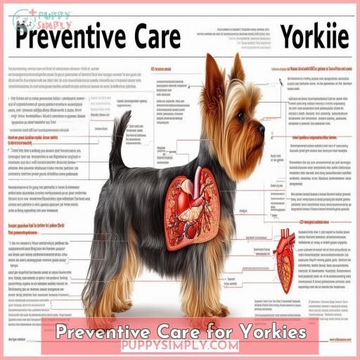 Preventive Care for Yorkies