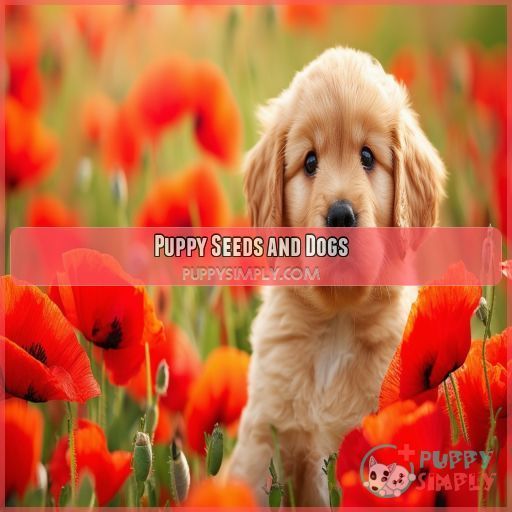 Puppy Seeds and Dogs