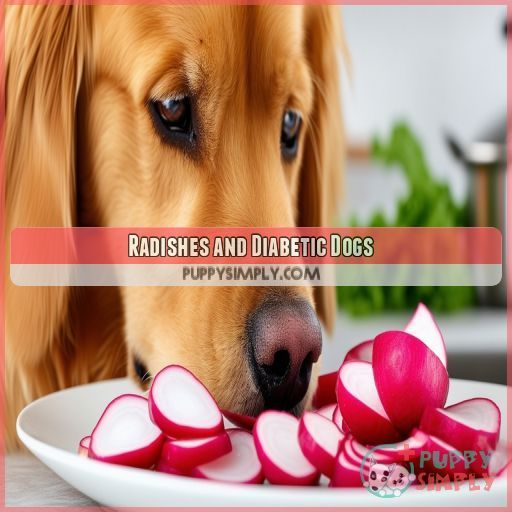 Radishes and Diabetic Dogs