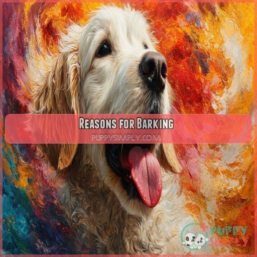 Reasons for Barking