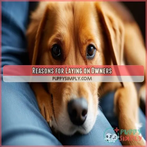 Reasons for Laying on Owners