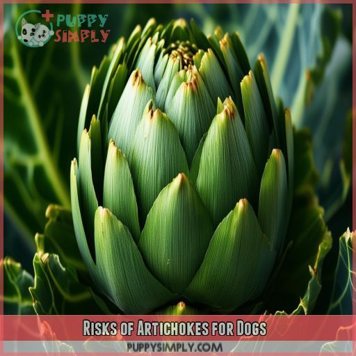Risks of Artichokes for Dogs