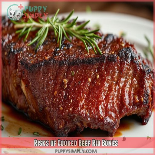 Risks of Cooked Beef Rib Bones