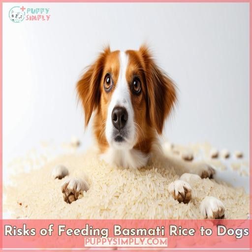 Risks of Feeding Basmati Rice to Dogs
