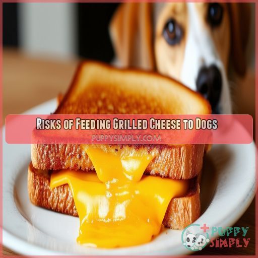 Risks of Feeding Grilled Cheese to Dogs