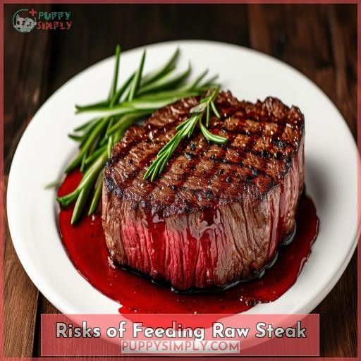 Risks of Feeding Raw Steak