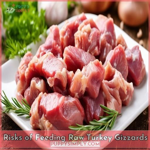 Risks of Feeding Raw Turkey Gizzards