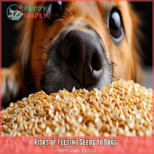 Risks of Feeding Seeds to Dogs