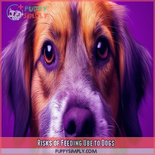 Risks of Feeding Ube to Dogs