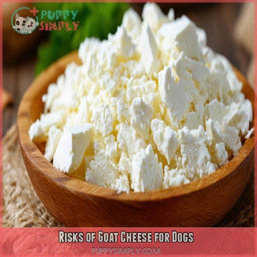 Risks of Goat Cheese for Dogs