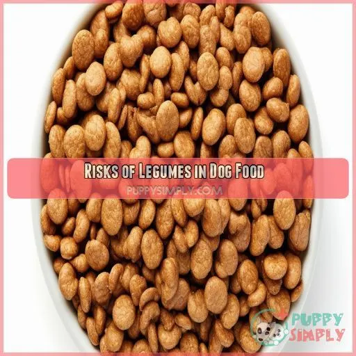 Risks of Legumes in Dog Food