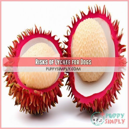 Risks of Lychee for Dogs