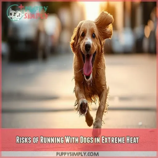 Risks of Running With Dogs in Extreme Heat