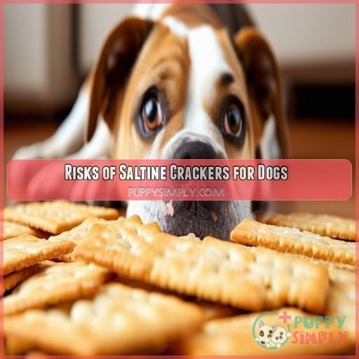 Risks of Saltine Crackers for Dogs