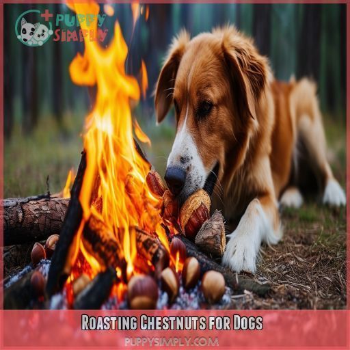 Roasting Chestnuts for Dogs