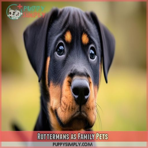 Rottermans as Family Pets
