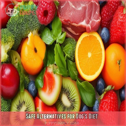 Safe Alternatives for Dog